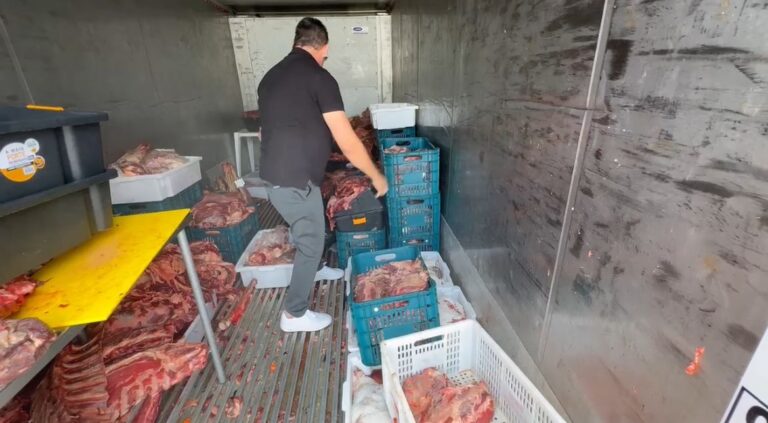 Quase três toneladas de carne estragada são apreendidas em açougue