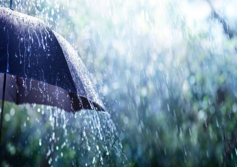 Com previsão de chuva forte até domingo, SP alinha plano de emergência