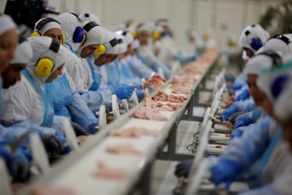 Produção agroindustrial registra alta de 2,2% em 2024, mostra FGV Agro