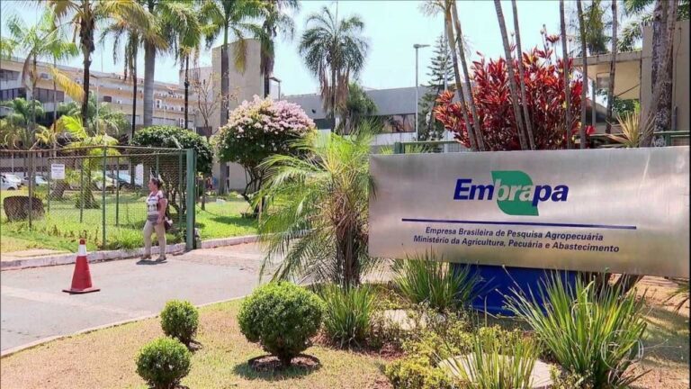 Embrapa busca alternativas para se financiar