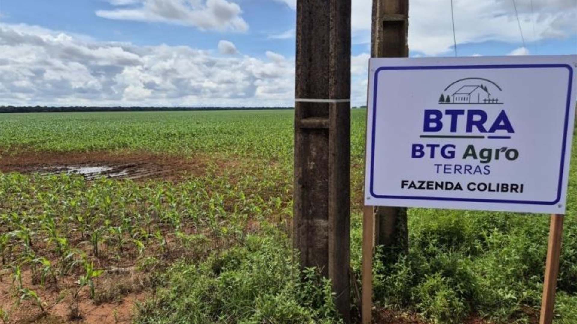 A máquina de recuperação de terras do BTG