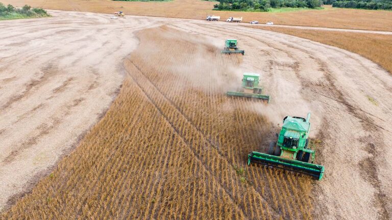 BNDES estuda criar fundo garantidor rural