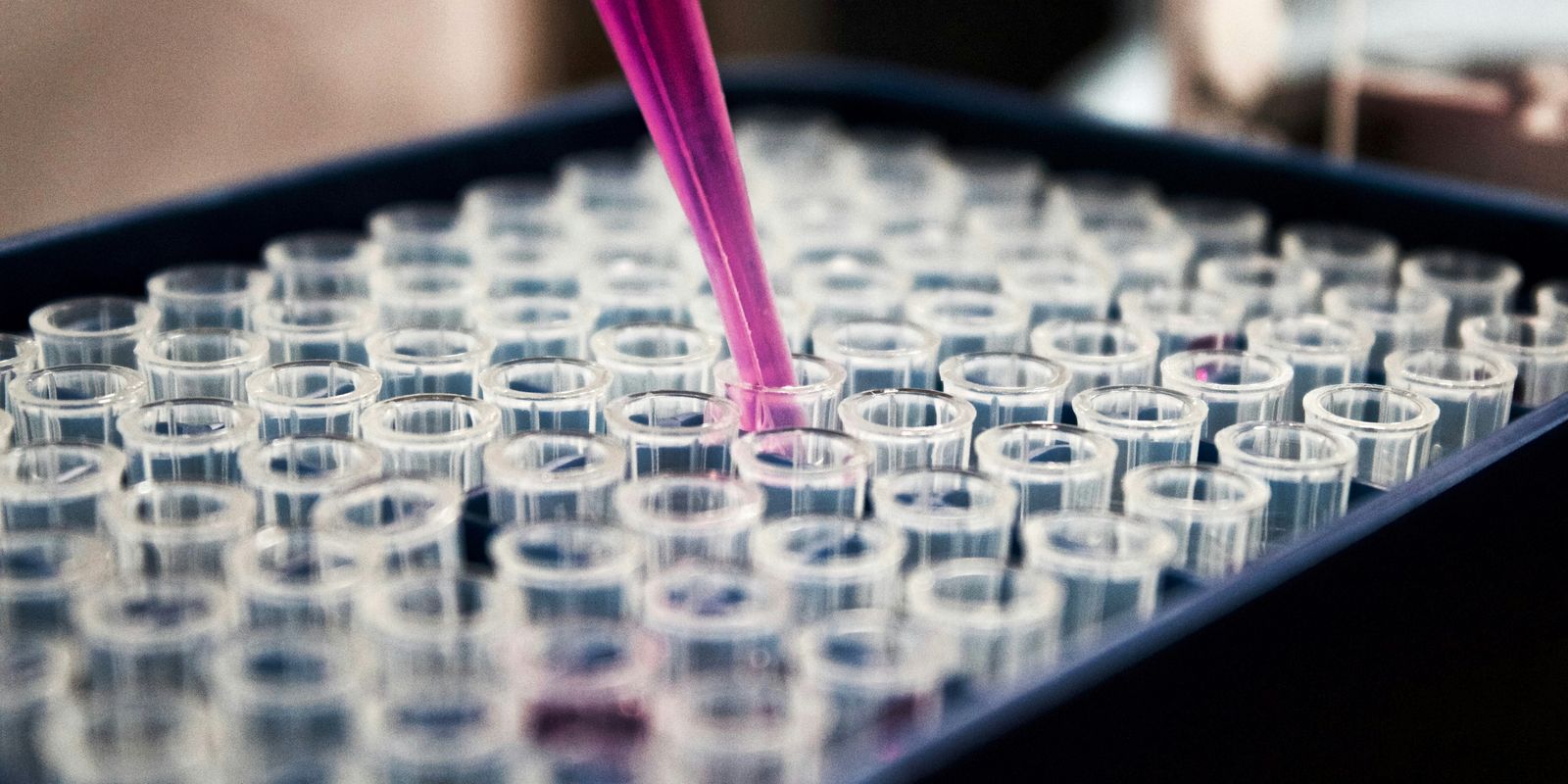 Pesquisa vê potencial em solo amazônico para desenvolver medicamentos