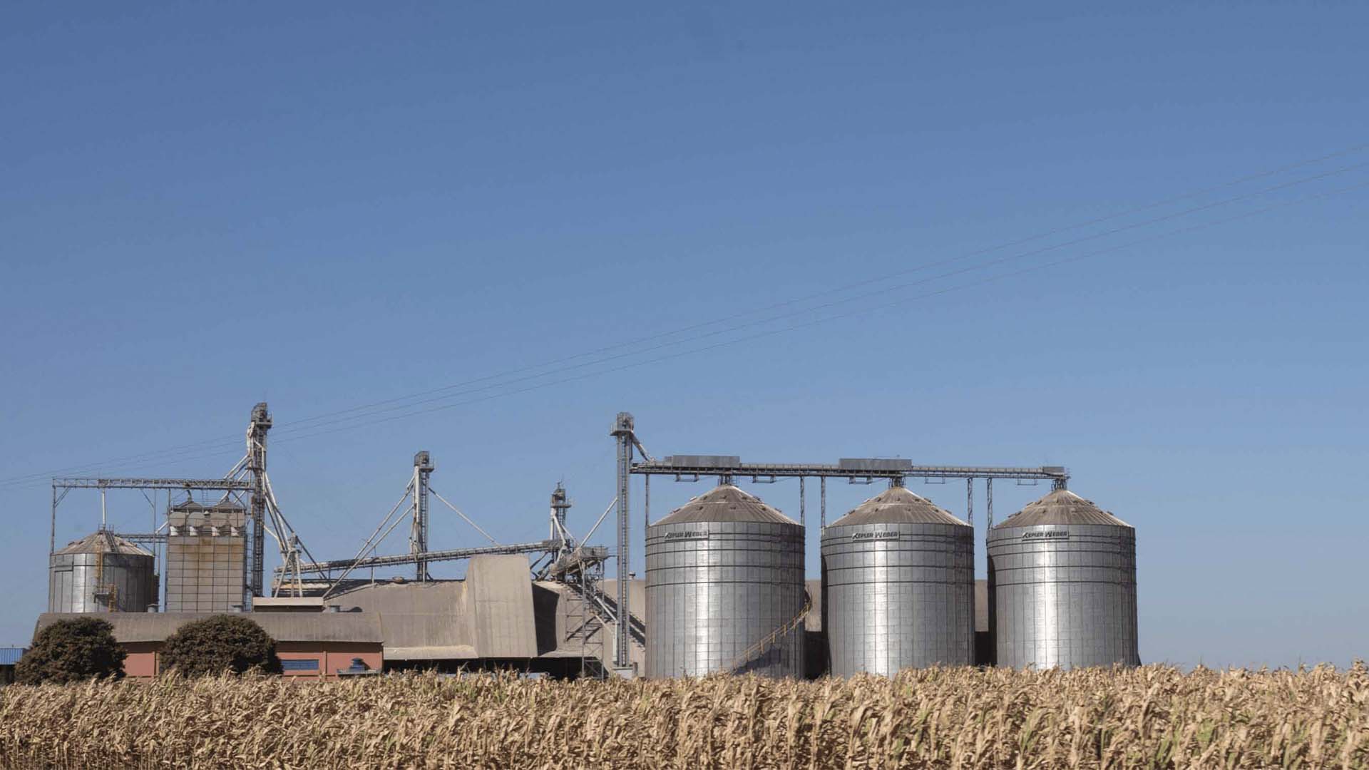 Após o caos, fundo de logística agrícola BTAL11 voltará a investir