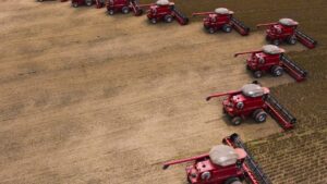 Colheita de soja em Mato Grosso; SLC vai aumentar área