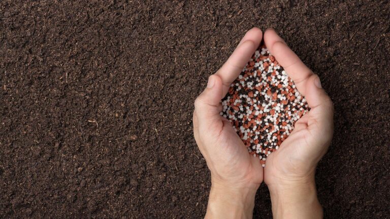 Crise de crédito atrasa vendas e entregas de fertilizantes