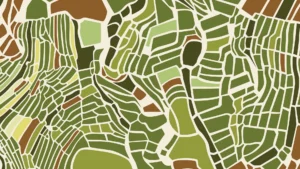 Mapa CAR Serasa