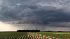 Chuva no campo