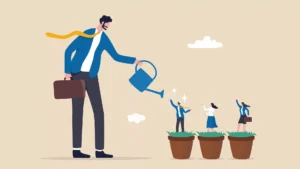 O software ajuda, mas crédito e finanças exigem talento