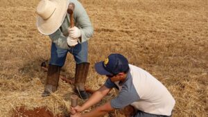 Coleta para análise de campo na UFSCar em projeto da Folio