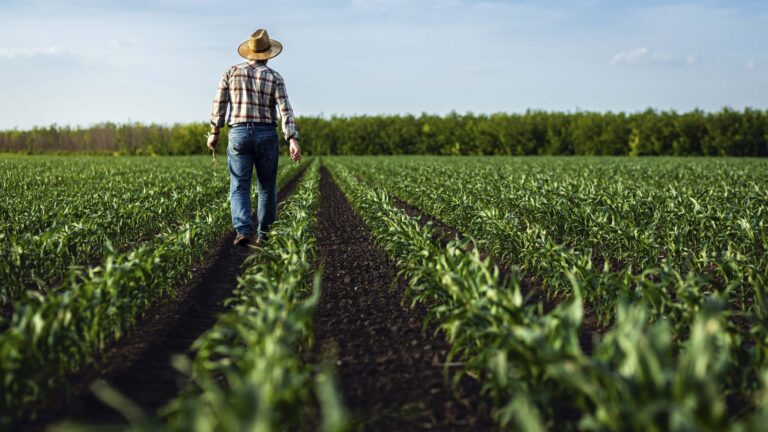 Crowdfunding para produtor rural pode sair até o fim do ano