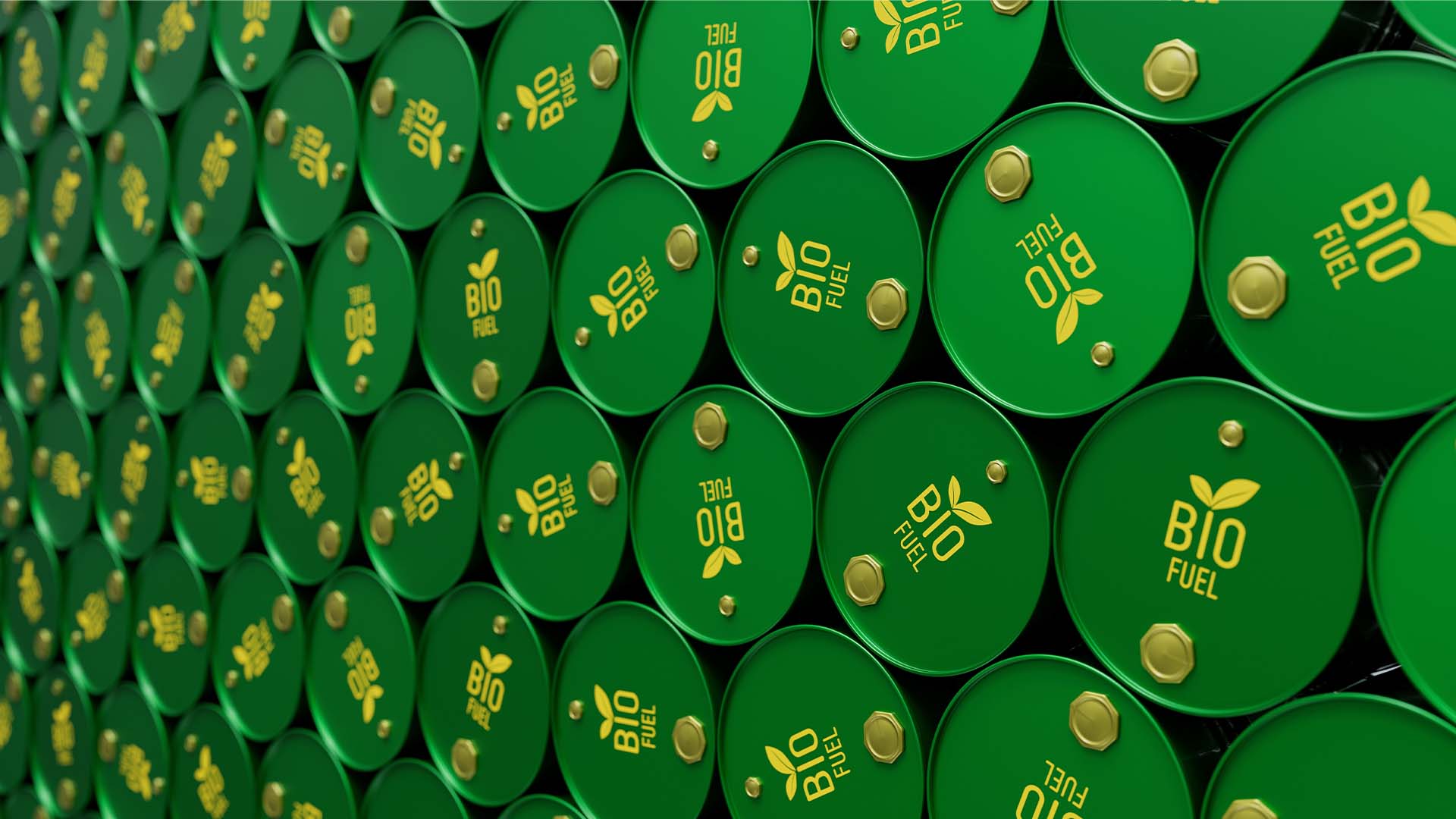 Imagem ilustrativa para biodiesel e biocombustíveis