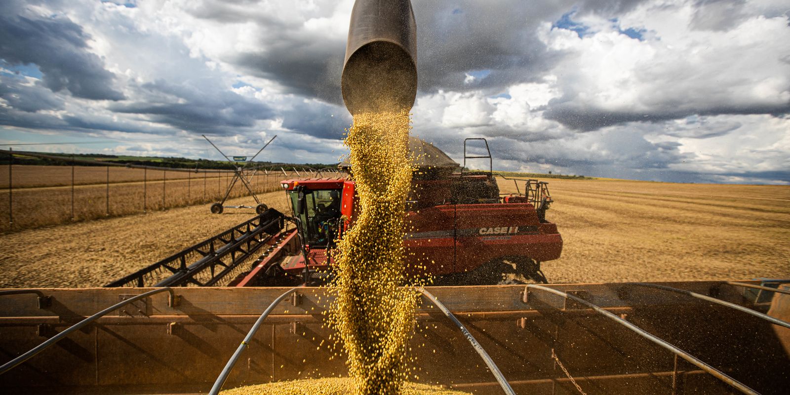 Taxas entre EUA e China podem beneficiar agronegócio brasileiro