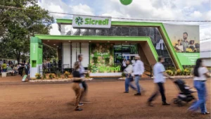 A fórmula das cooperativas para contornar a escassez do Plano Safra