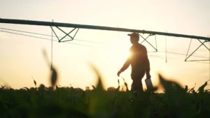 Agroadvance atrai SLC e Ânima em rodada de R$ 9,5 milhões