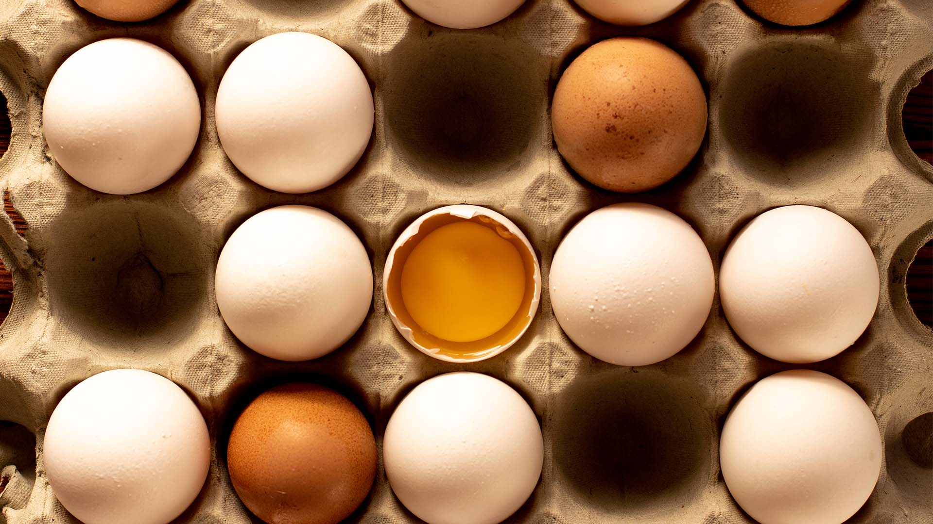 Ricardo Faria desiste de IPO da Global Eggs — até 2026