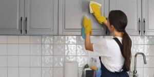 Trabalho doméstico com carteira assinada cai 18% em dez anos