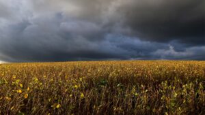 Um ano após tragédia, chuvas fortes voltam ao Rio Grande do Sul