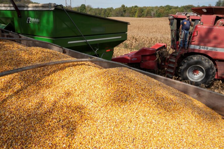 Do Irã aos silos do Brasil: tensão no Oriente Médio afeta grãos e pode custar até R$ 5 bilhões