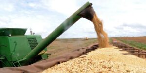Feira agropecuária Pecnordeste começa hoje (5) em Fortaleza