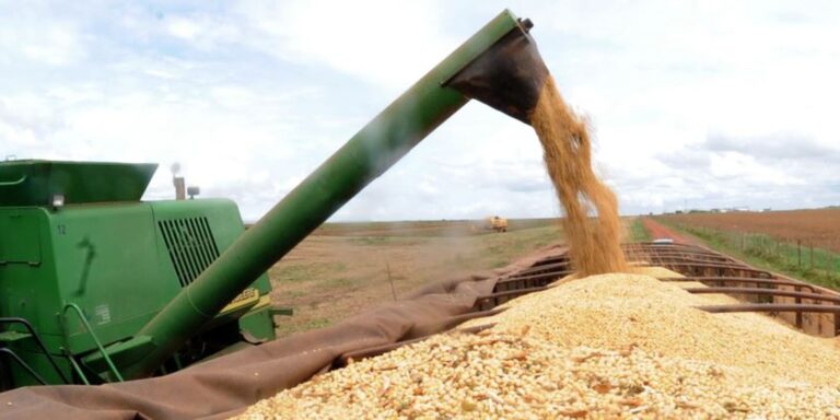 Feira agropecuária Pecnordeste começa hoje (5) em Fortaleza