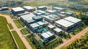 Tecnomyl faz parceria com Syngenta para ganhar força em fungicida