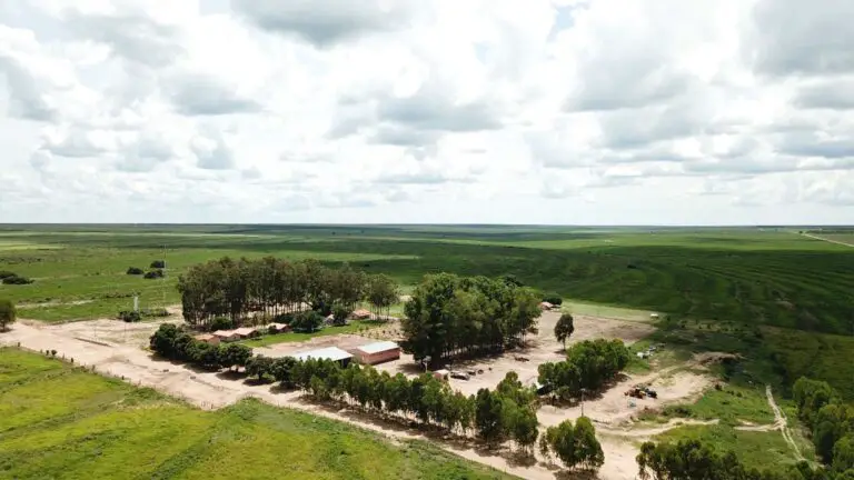 BrasilAgro vende Fazenda Preferência — uma das mais antigas do portfólio