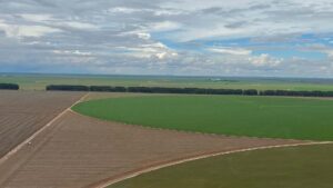 Fazenda Acres terras