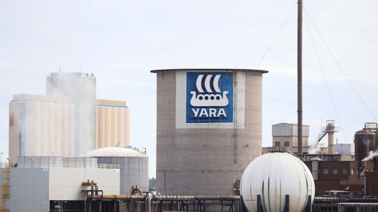 A aposta da Yara para ganhar mercado em biológicos