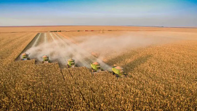 Financiamento agrícola busca novas rotas com apoio da tecnologia