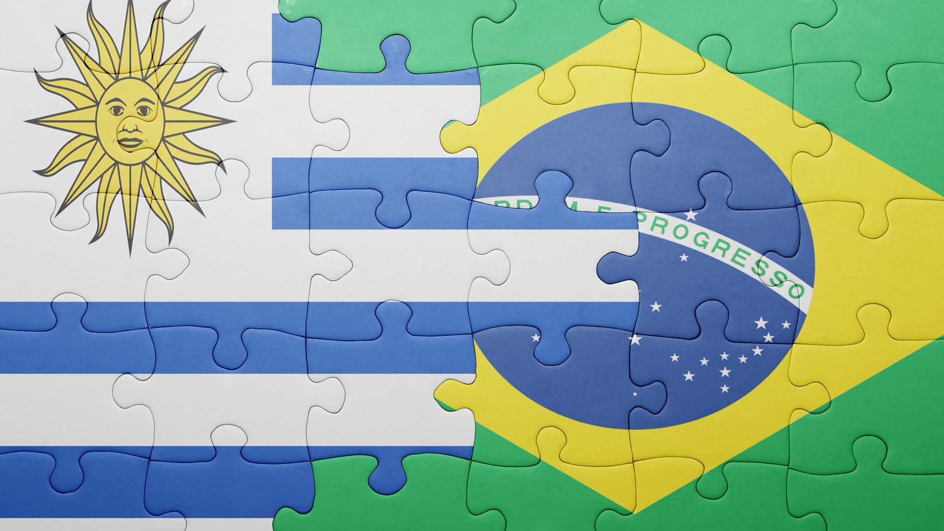 Os argumentos contraditórios da Minerva para vetar BRF-Marfrig