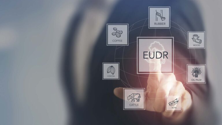 A lei antidesmatamento da UE em xeque