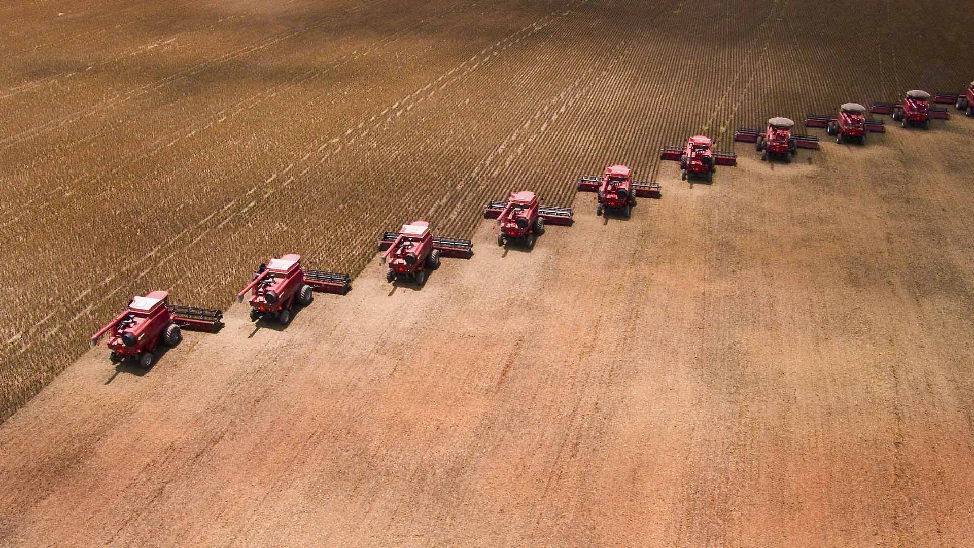 Área de soja em Mato Grosso