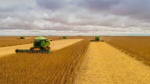 Para dar lucro, produtor de soja precisa de 60 sacas por hectare