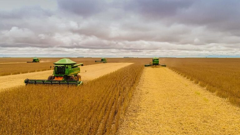 Para dar lucro, produtor de soja precisa de 60 sacas por hectare