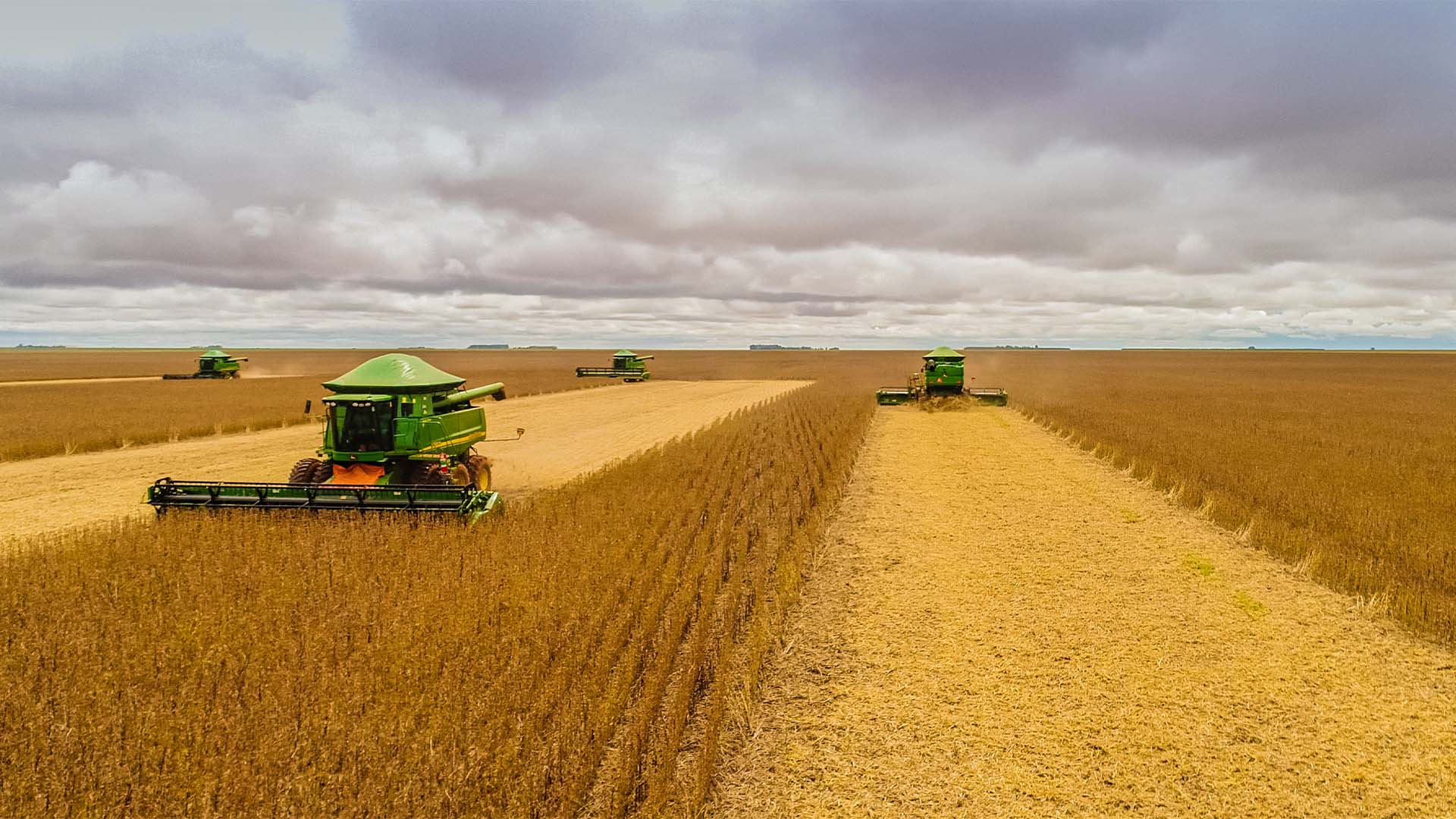 Para dar lucro, produtor de soja precisa de 60 sacas por hectare