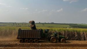 Usinas do PCC moem 2,5% da cana do Centro-Sul, diz BTG
