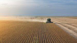 A BrasilAgro não comprou fazendas este ano. Não faltaram ofertas