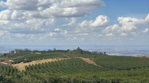 Fazenda de café Ponta da Serra em Capetinga (MG), parceira da Nestlé em agricultura regenerativa