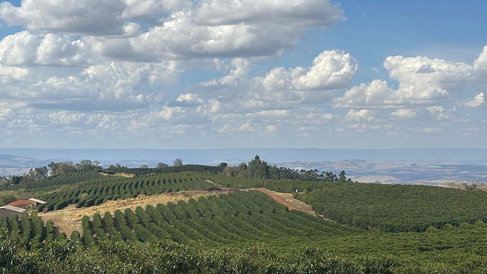 Fazenda de café Ponta da Serra em Capetinga (MG), parceira da Nestlé em agricultura regenerativa
