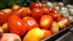 Brasil abre mercado para produto agropecuário na Argentina e no Paraguai
