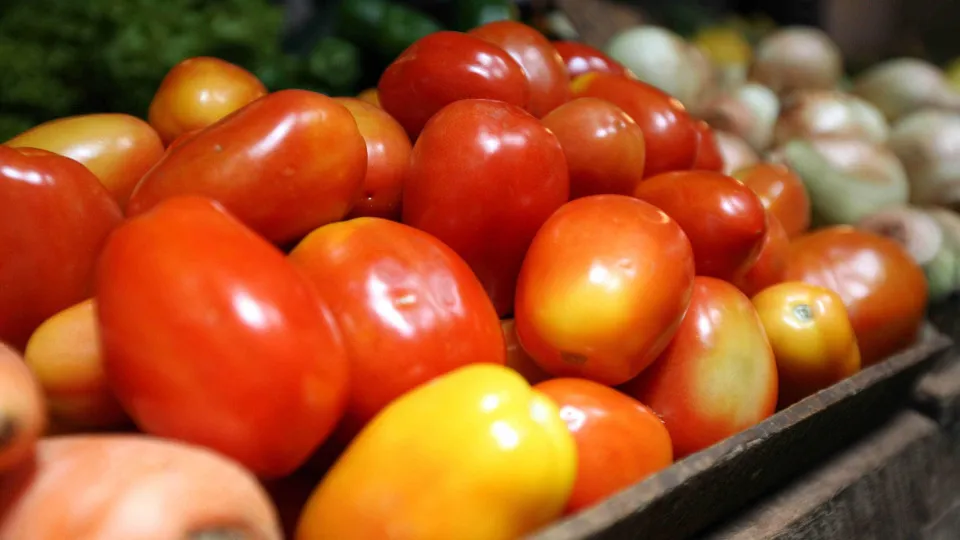 Brasil abre mercado para produto agropecuário na Argentina e no Paraguai