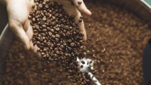 Exportação de café cai 17%, e Alemanha toma primeiro lugar dos EUA