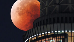 'Lua de Sangue': as melhores fotografias do eclipse deste domingo
