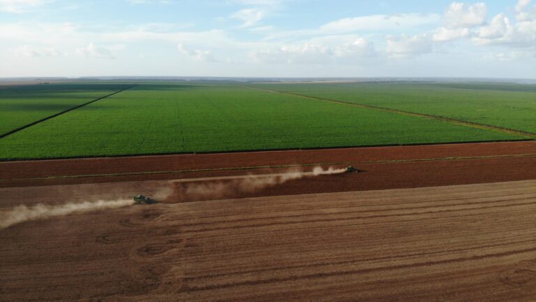 Para BrasilAgro, preço da terra deve cair mais