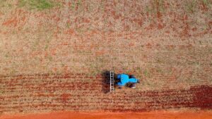 Com tempo seco, plantio de soja exige cautela
