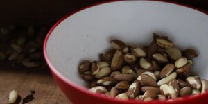 Agricultura familiar do Nordeste vai à maior feira mundial alimentos