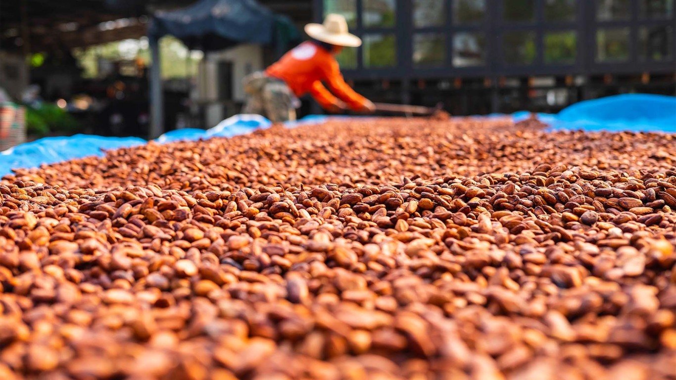 Aquecimento global pode fazer América Central a trocar café por cacau