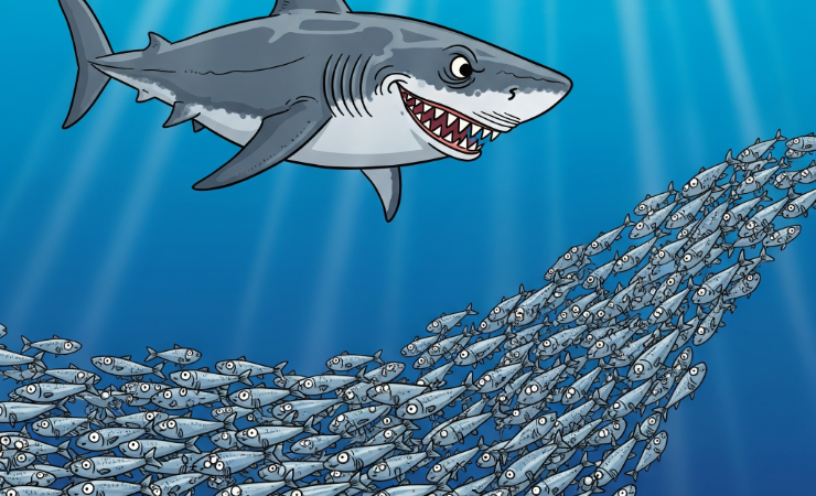 BTG Pactual (BPAC11): Onda de aquisições surpreende com possíveis consequências