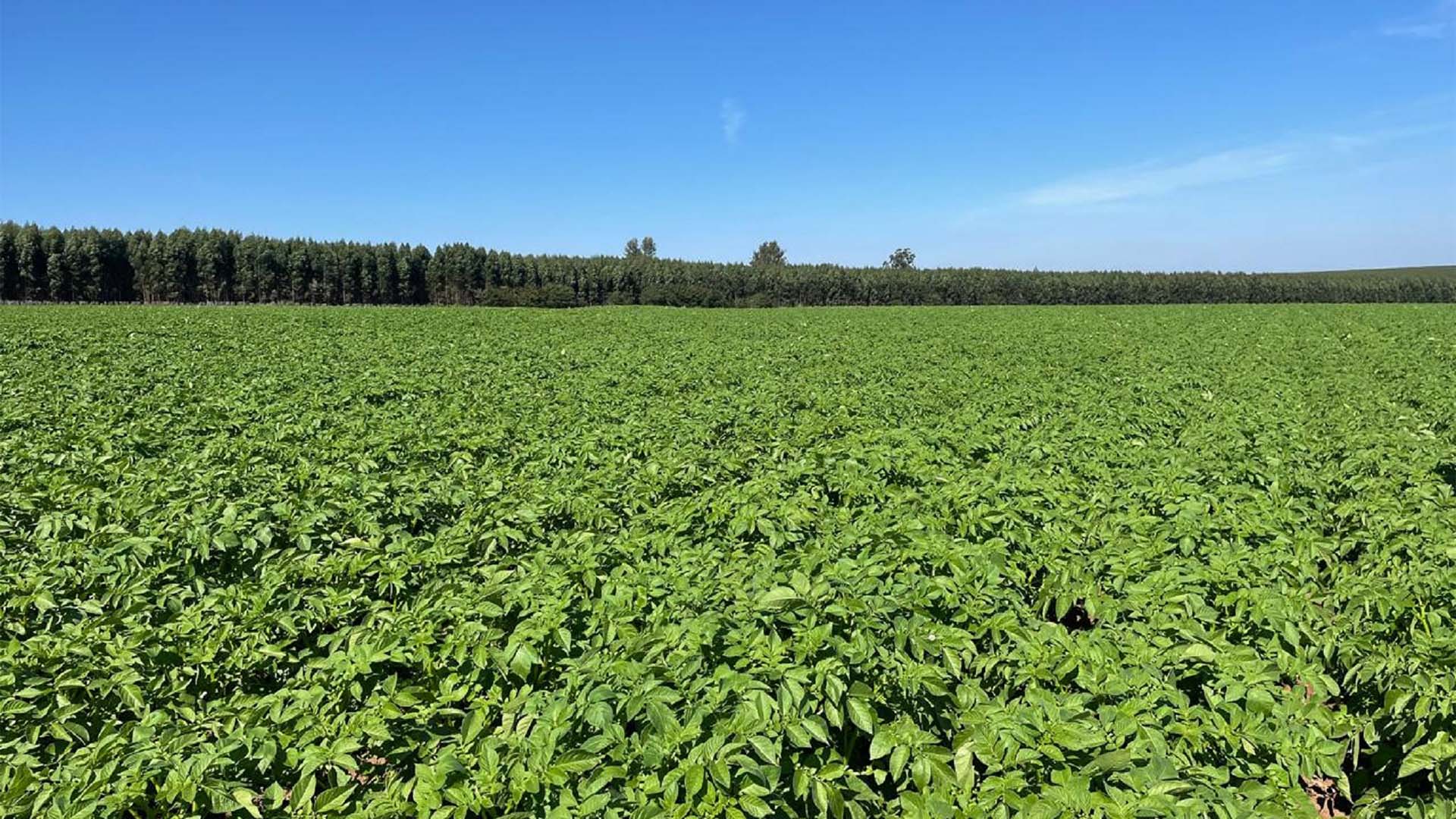 Fazenda Terra Viva, fornecedora da General Mills